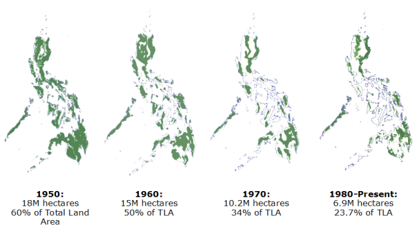 But including artificial "forests" for production, the DENR says there is 23% is left. 